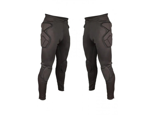 Brankárska korytnačka